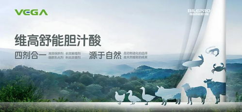 新希望成本控制成效初显，温氏海大业务扩张加速 畜牧行业的新动态