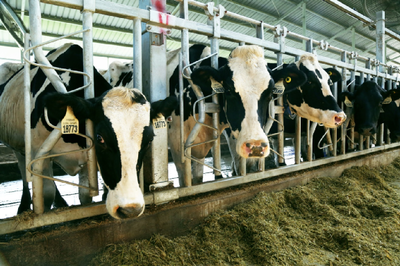 国潮崛起 畜牧渔业饲料销售的新风口与品牌机遇