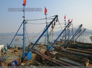 威海渔港大船静泊 油贵鱼少，渔民生计困局下的产业链阵痛